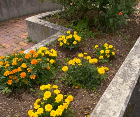 写真の説明テキストテキスト